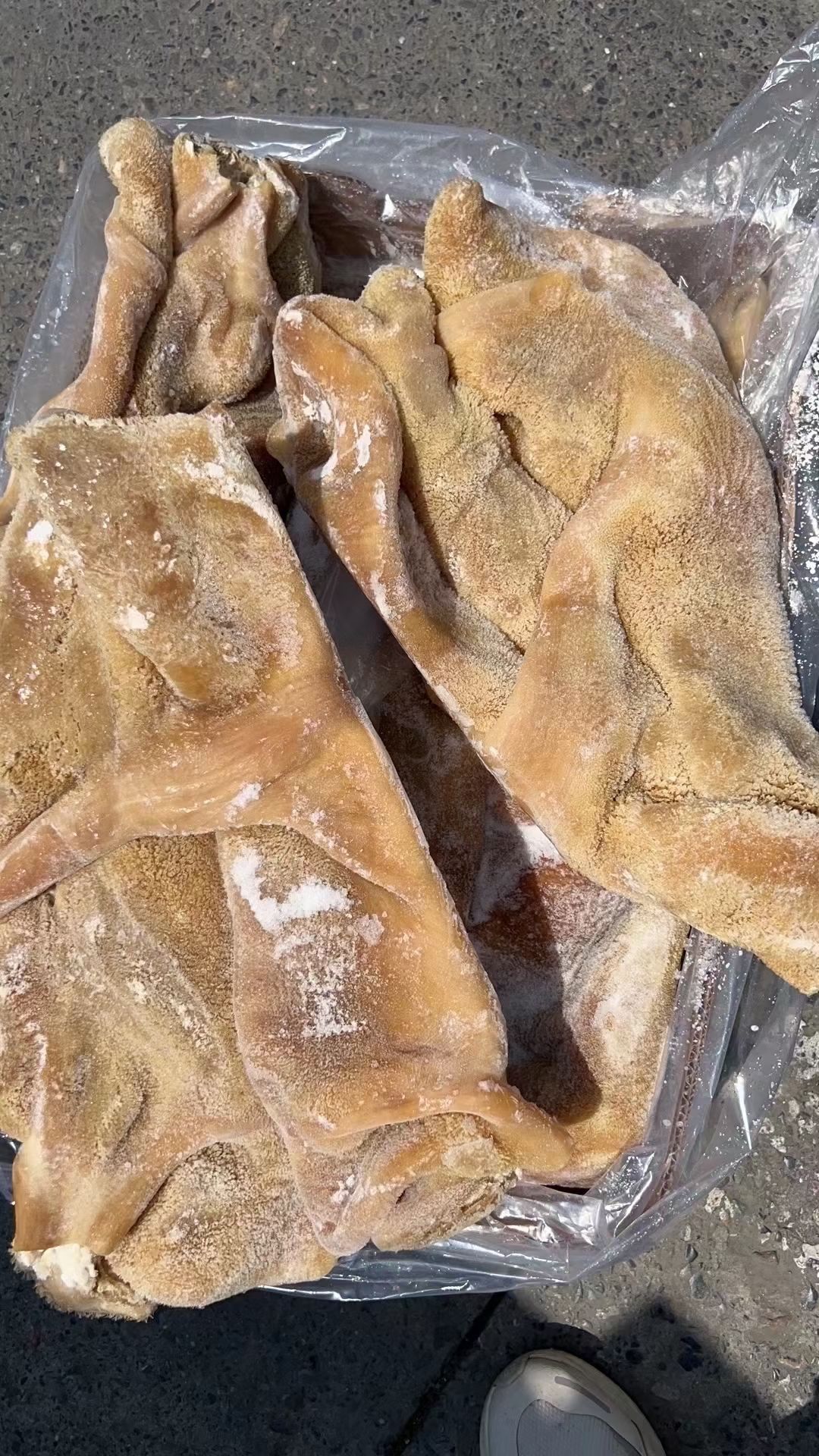 牛肚，纯干无碱发，解冻一斤出一斤，硬煮出8.5左右，一手货源