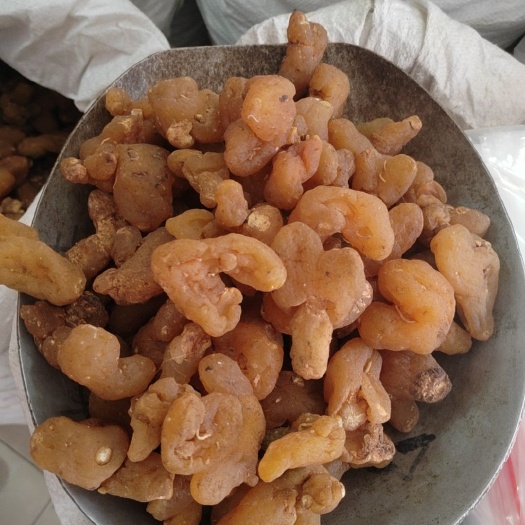 亳州黄精，多花黄精，鸡头黄精，滇黄精大货供应批发零售，各种规格。