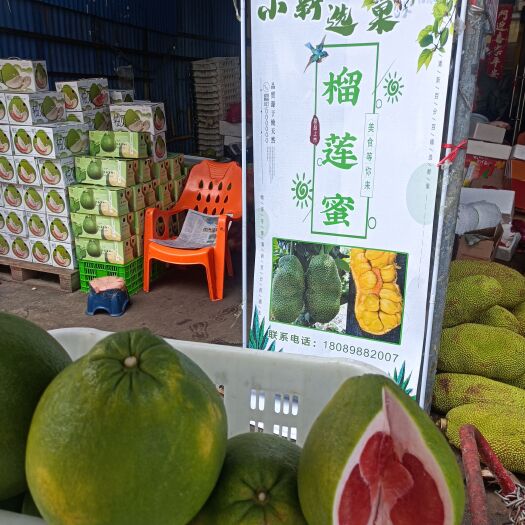 海南榴莲蜜，尖蜜拉，大叶黄，小叶黄，大丁果，小丁果