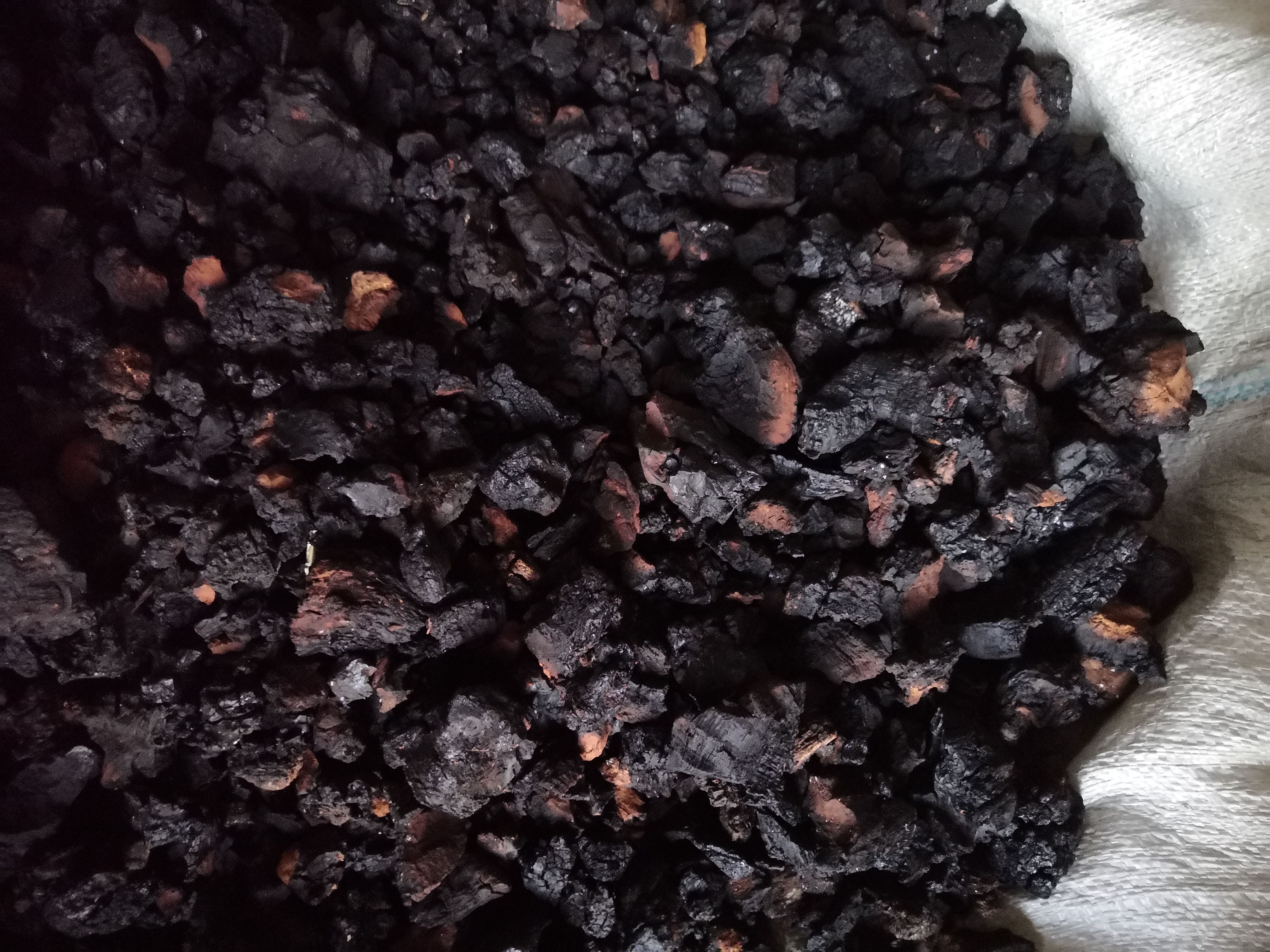 长白山地区二等黑金块