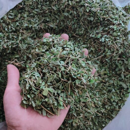 贺州自产自销 切断鸡骨草叶 包邮发货