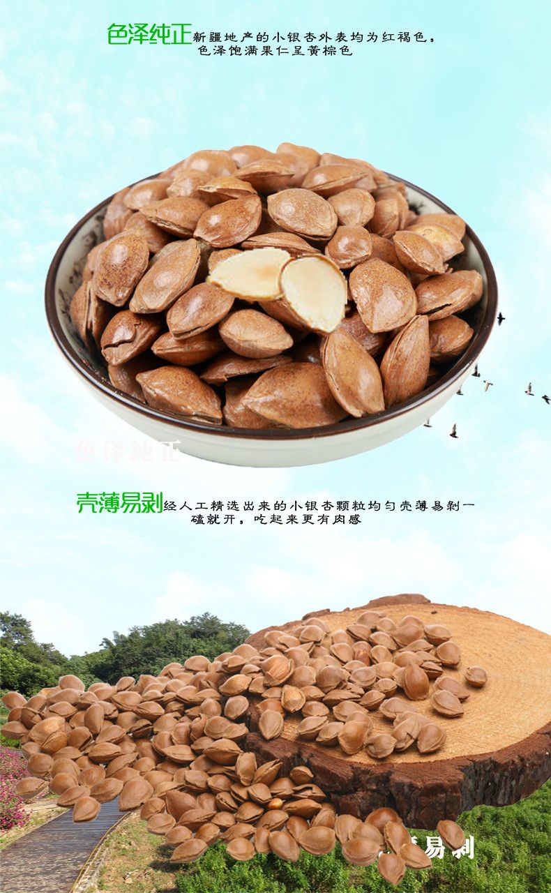 开口小银杏手剥杏核颗粒饱满人工精选办公室休闲零食产地发货