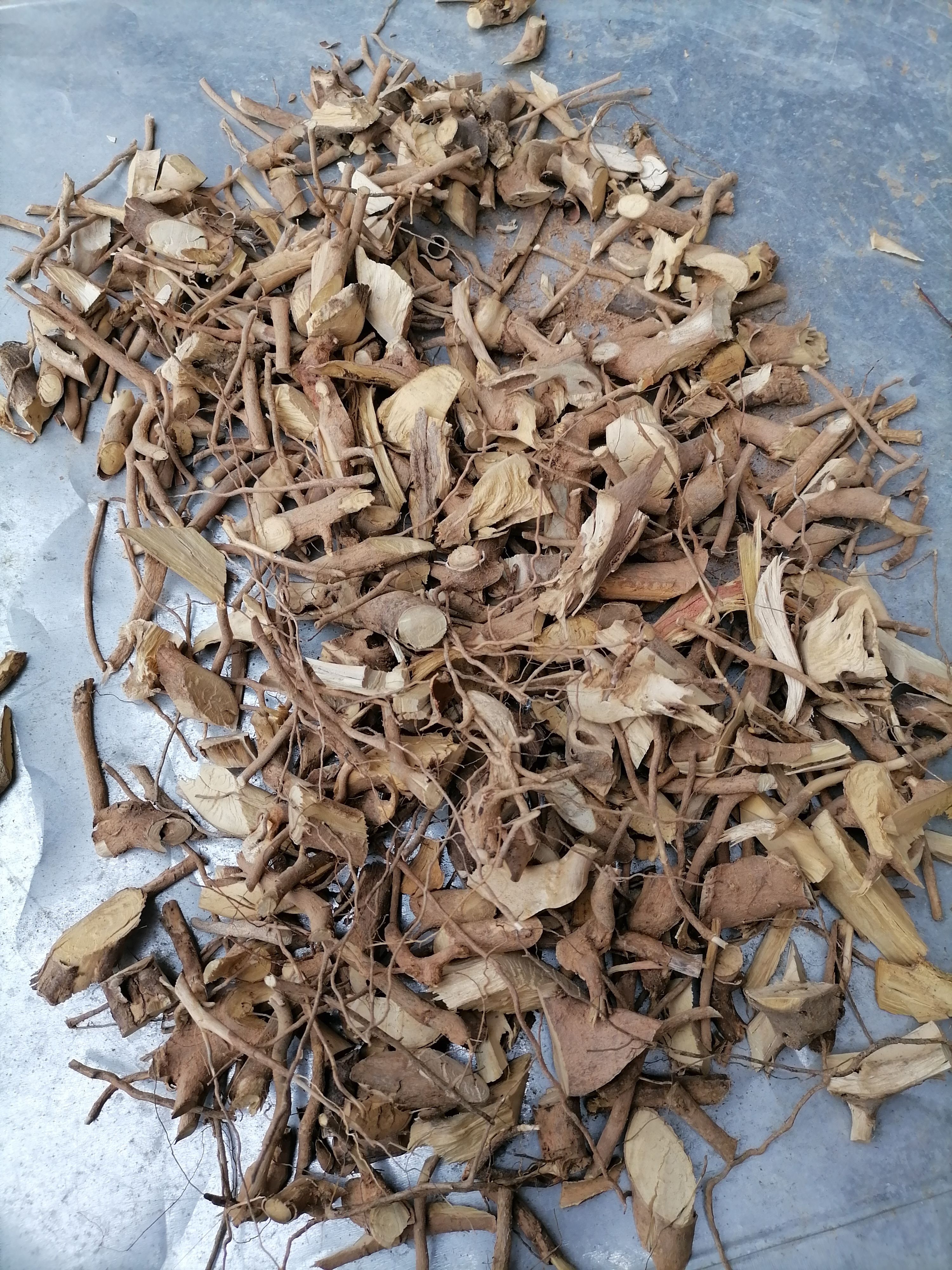 广东河源东源县产中药材鬼针草新鲜采摘全草类药材