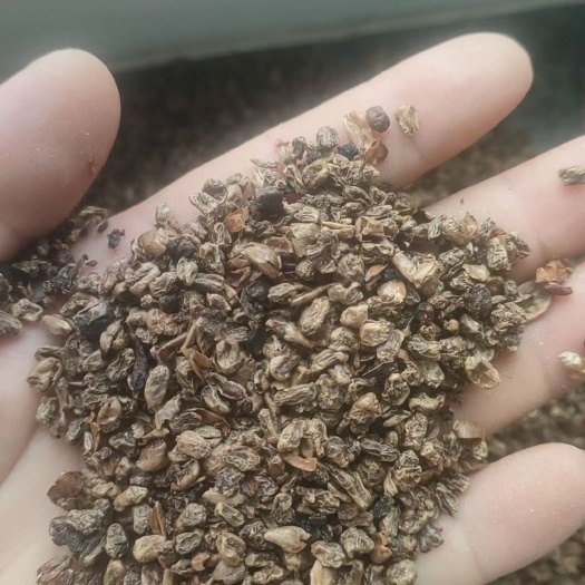 庄河市虫草麦蛋白14。淀粉40多呕吐1000-1150 。灰分