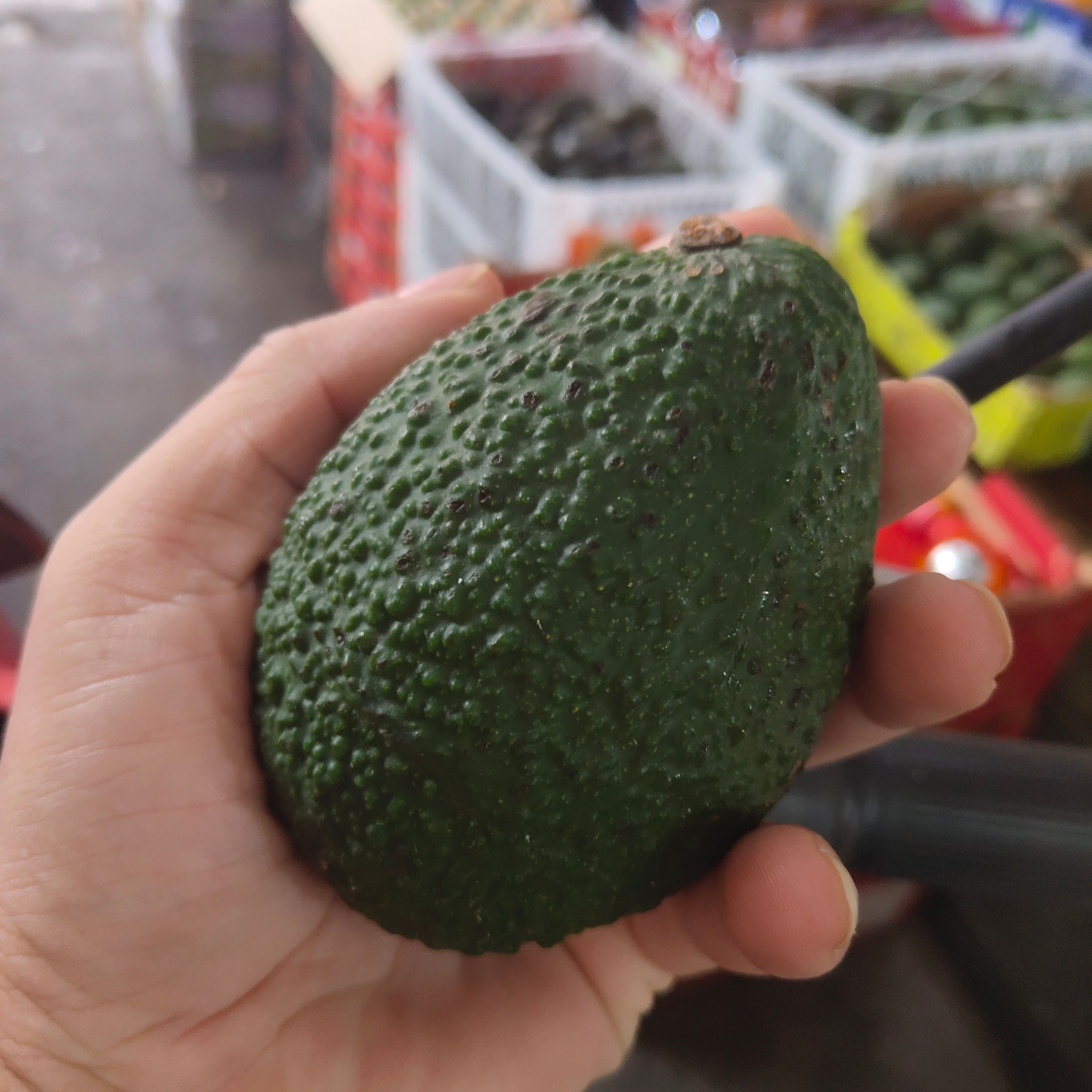 云南孟连牛油果昆明仓库一件代发