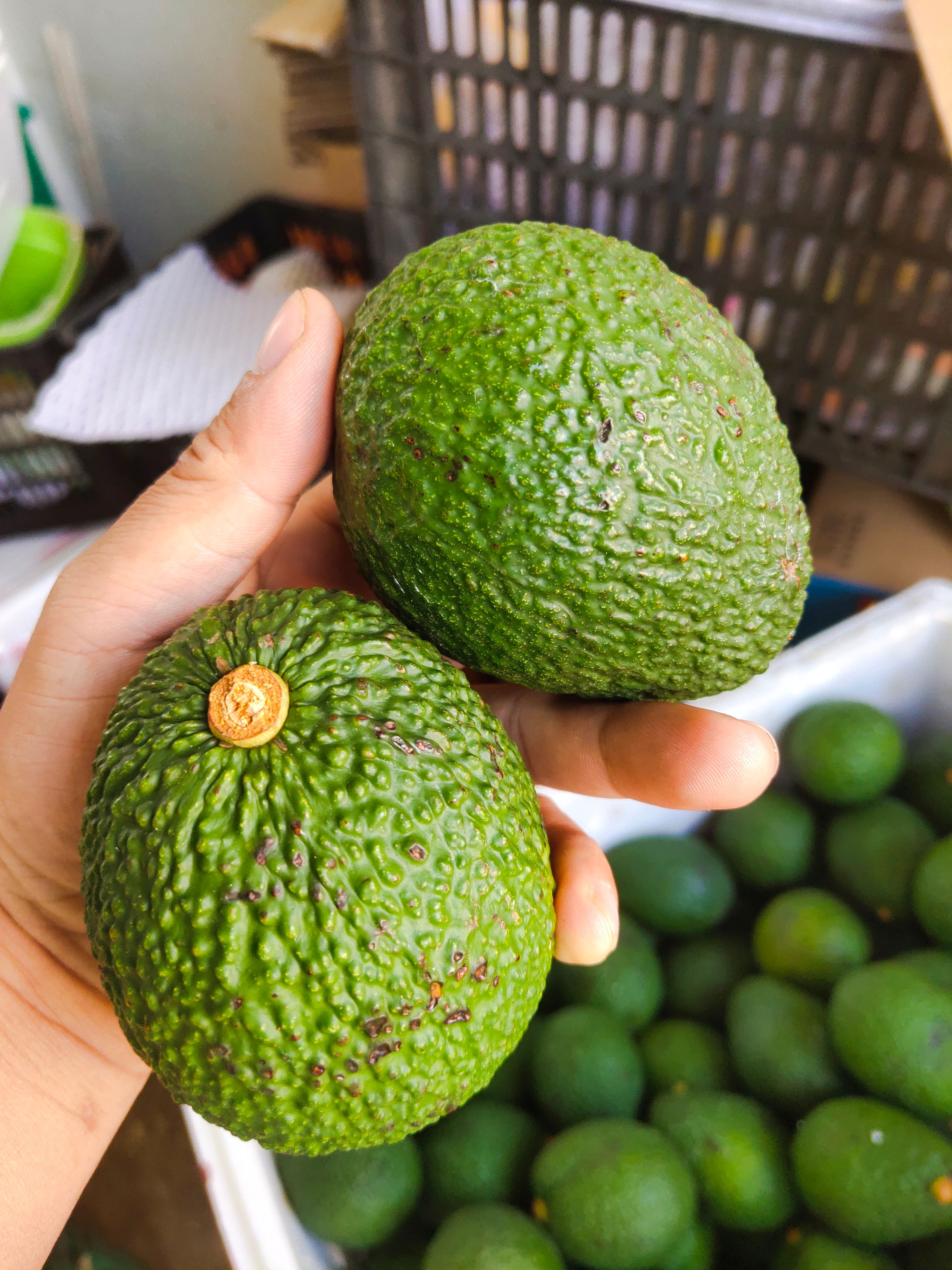 云南孟连牛油果昆明仓库一件代发