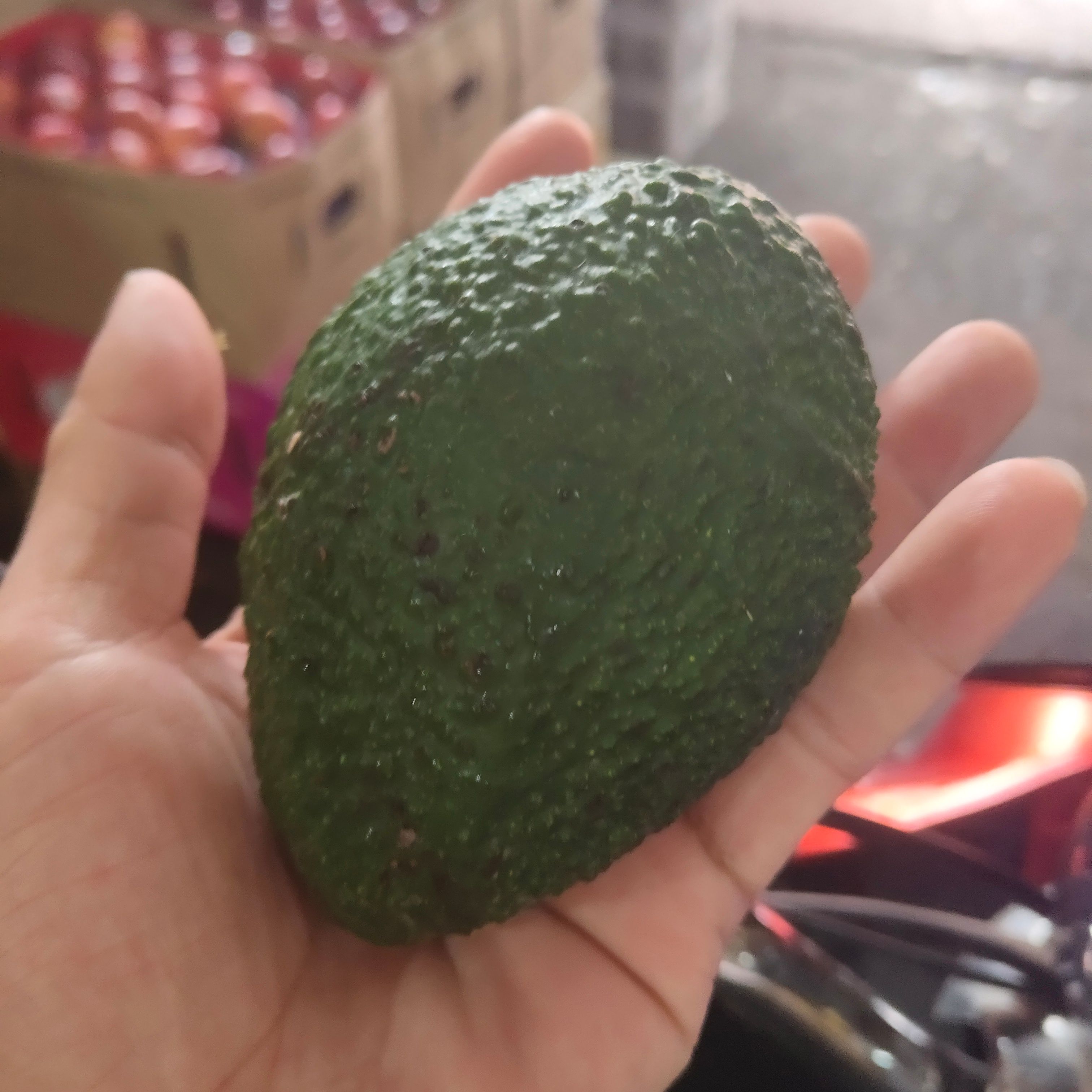 云南孟连牛油果昆明仓库一件代发