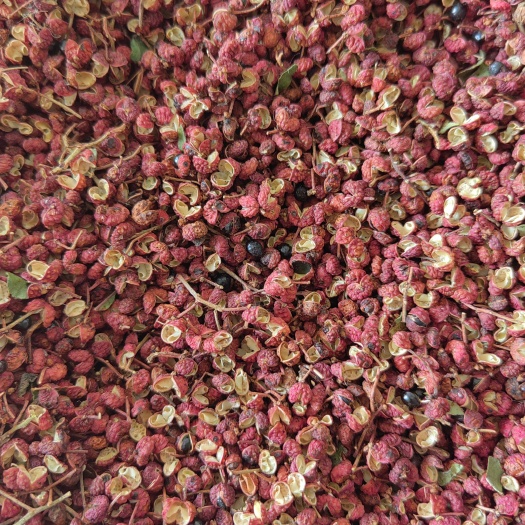 洛宁县花椒，新摘花椒，自家种植，无施肥，无农药