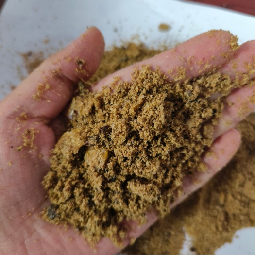 正定县压片玉米发酵料