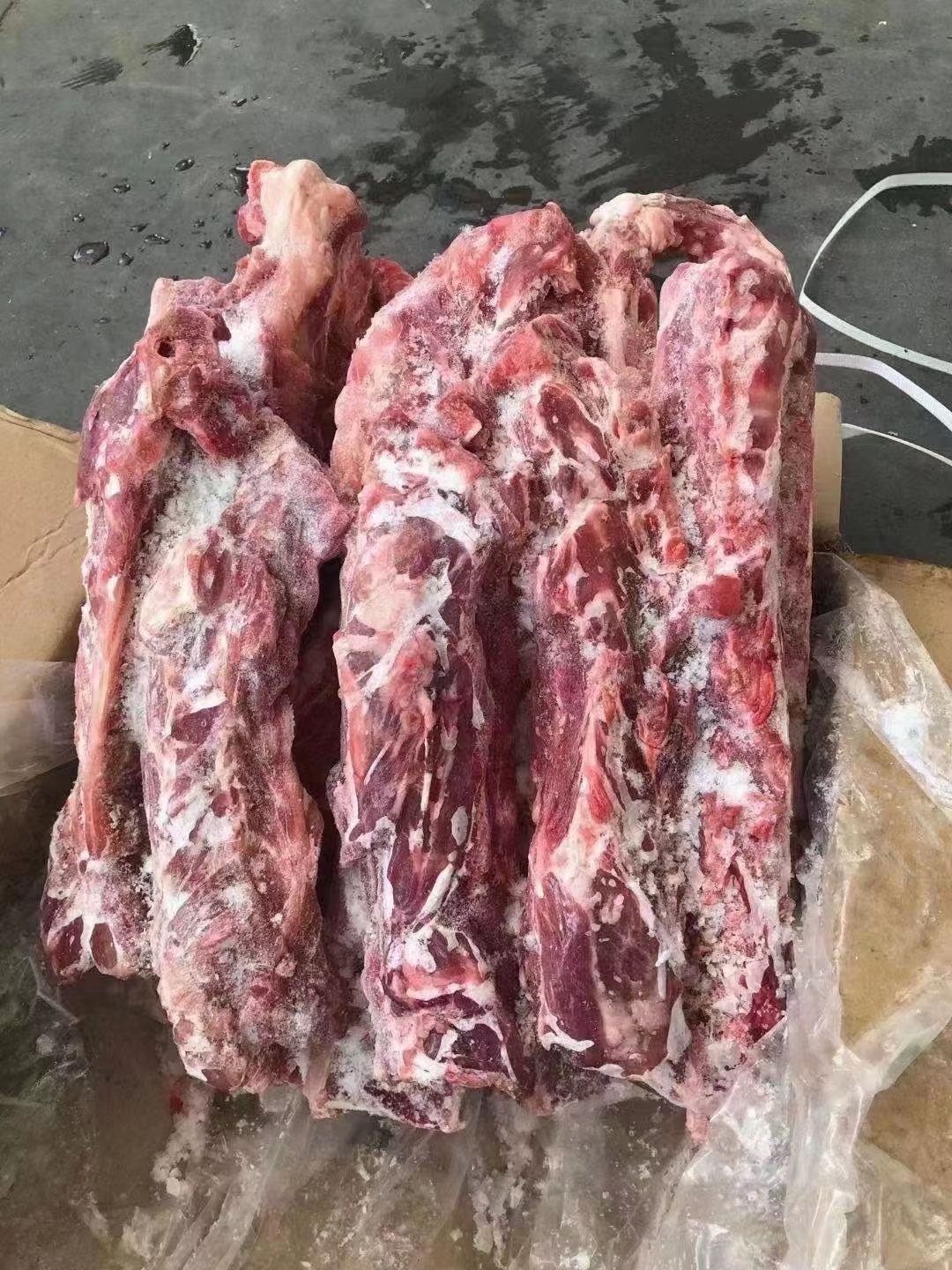 多肉羊蝎子
