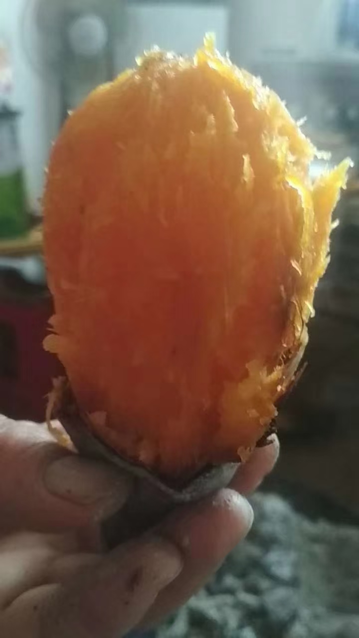 枣阳市苏薯