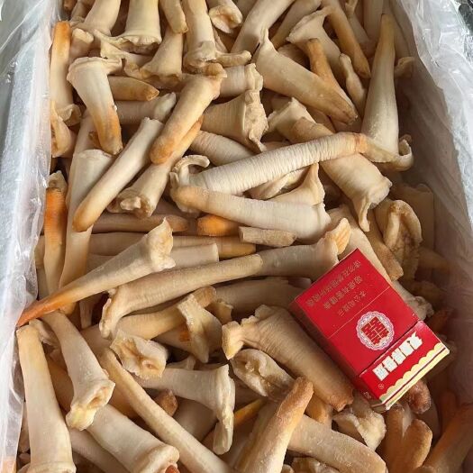 象拔蚌厂家直供欢迎询价