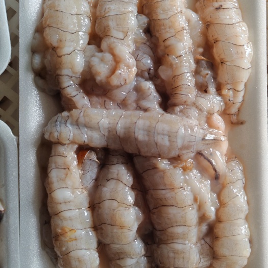 昌黎县皮皮虾肉，纯手剥净肉，原浆皮皮虾肉