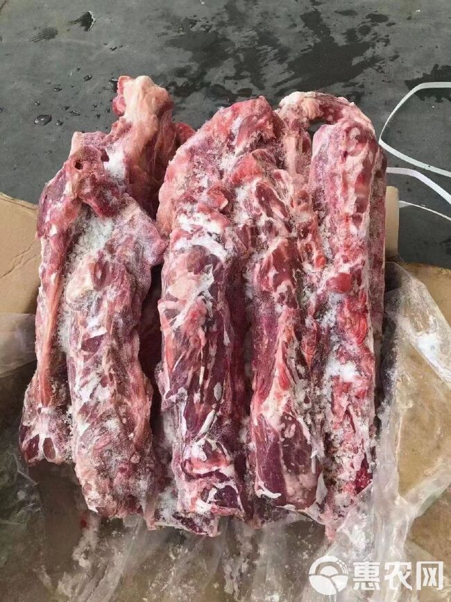 多肉羊蝎子