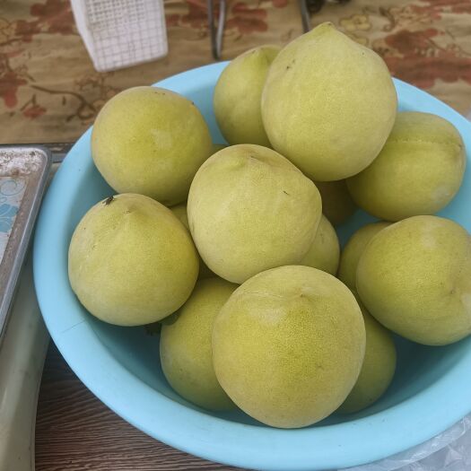 东海县大青桃