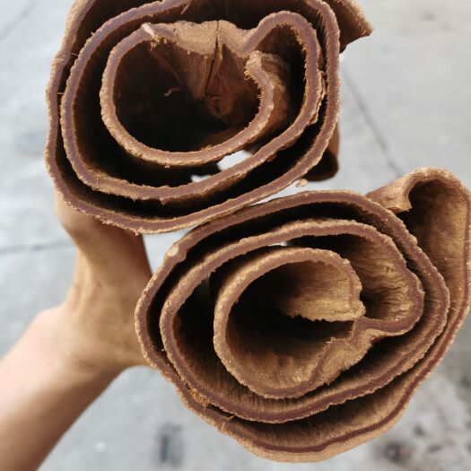 汕头越南紫油桂 越南肉桂 油量长短厚多规格 供药店药用级