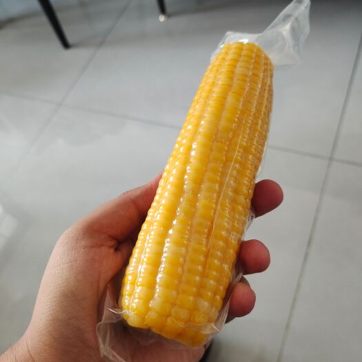 长春真空玉米