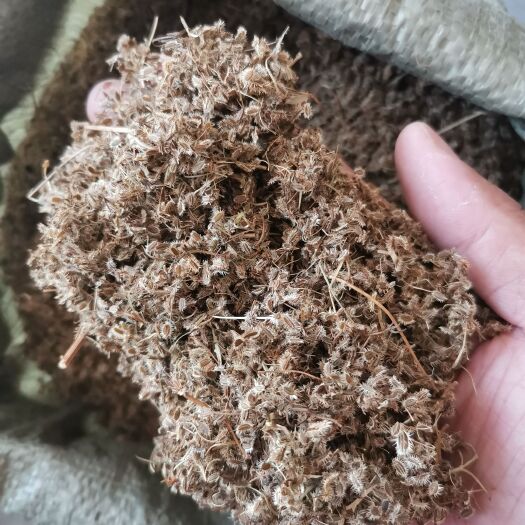 亳州鹤虱 正品南鹤虱【假一赔十】