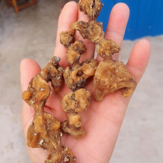 天然黄精干个子 洗净无泥 蒸晒甜香 无硫无霉 泡酒泡茶煲汤