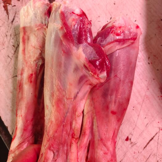 唐山刀卸羔羊后腿棒，烧烤，炖，手把肉