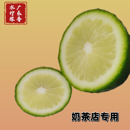 广州广东香水柠檬