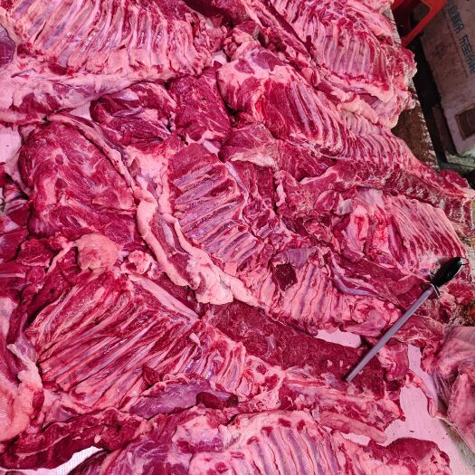 唐山羊排肉，适合火锅