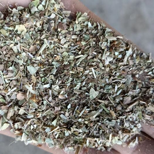 社旗县鲜花生秧，大量上市了