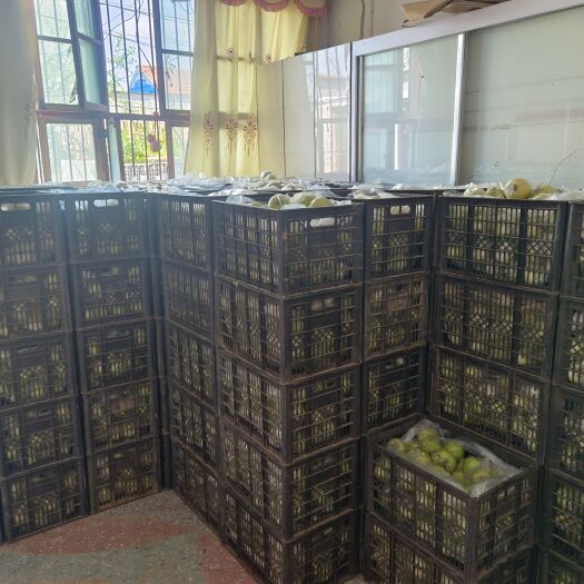 虞城县黄金帅苹果