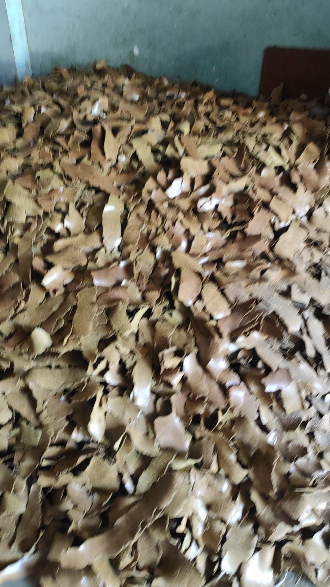 发酵饼肥，豆粕发酵。
