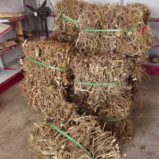 鲜货，白花牛奶树根，牛奶树根