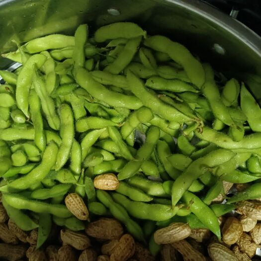 东港市黄豆毛豆