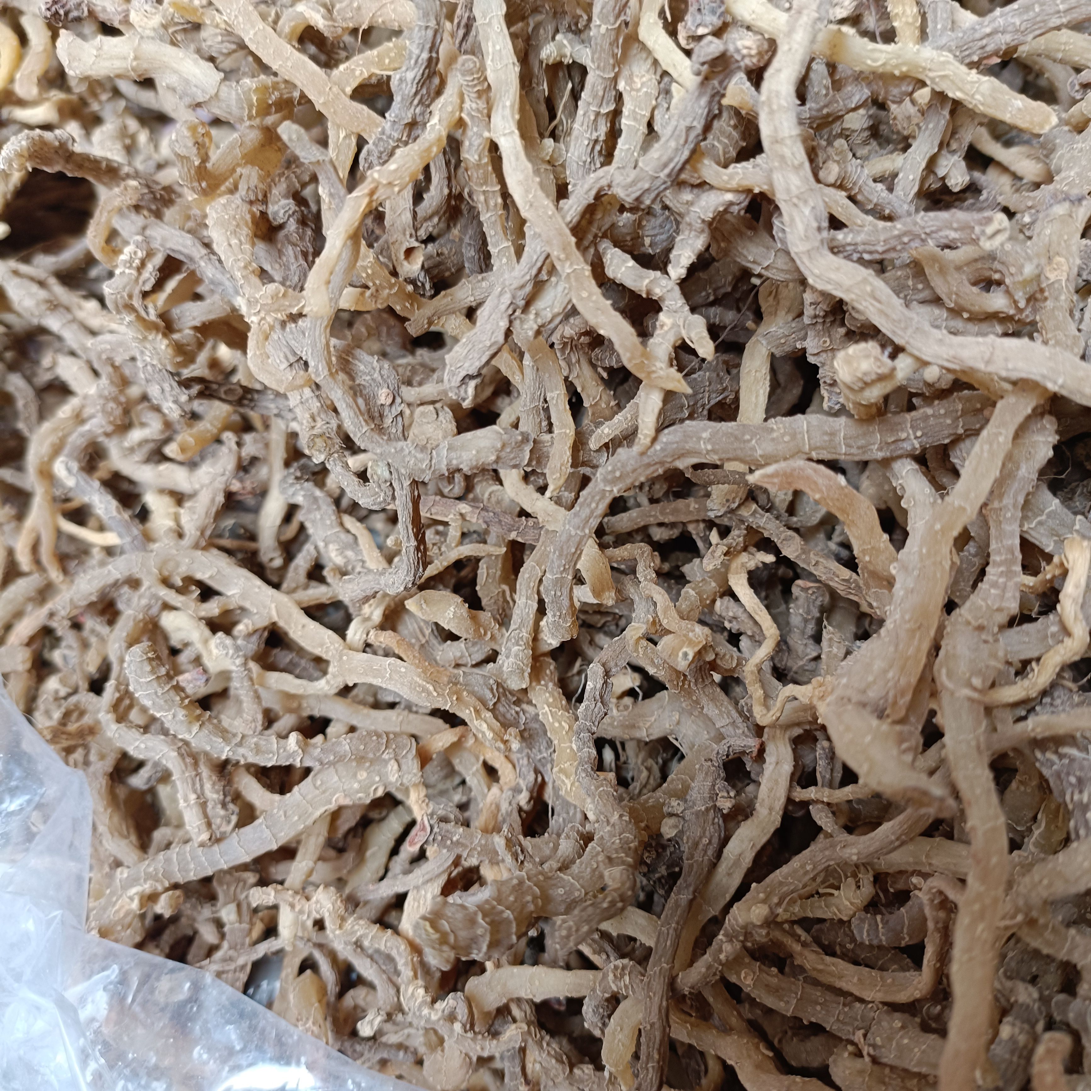 玉竹葳蕤萎蕤黄芝地节大山里采挖无硫熏新货自然晒干2025