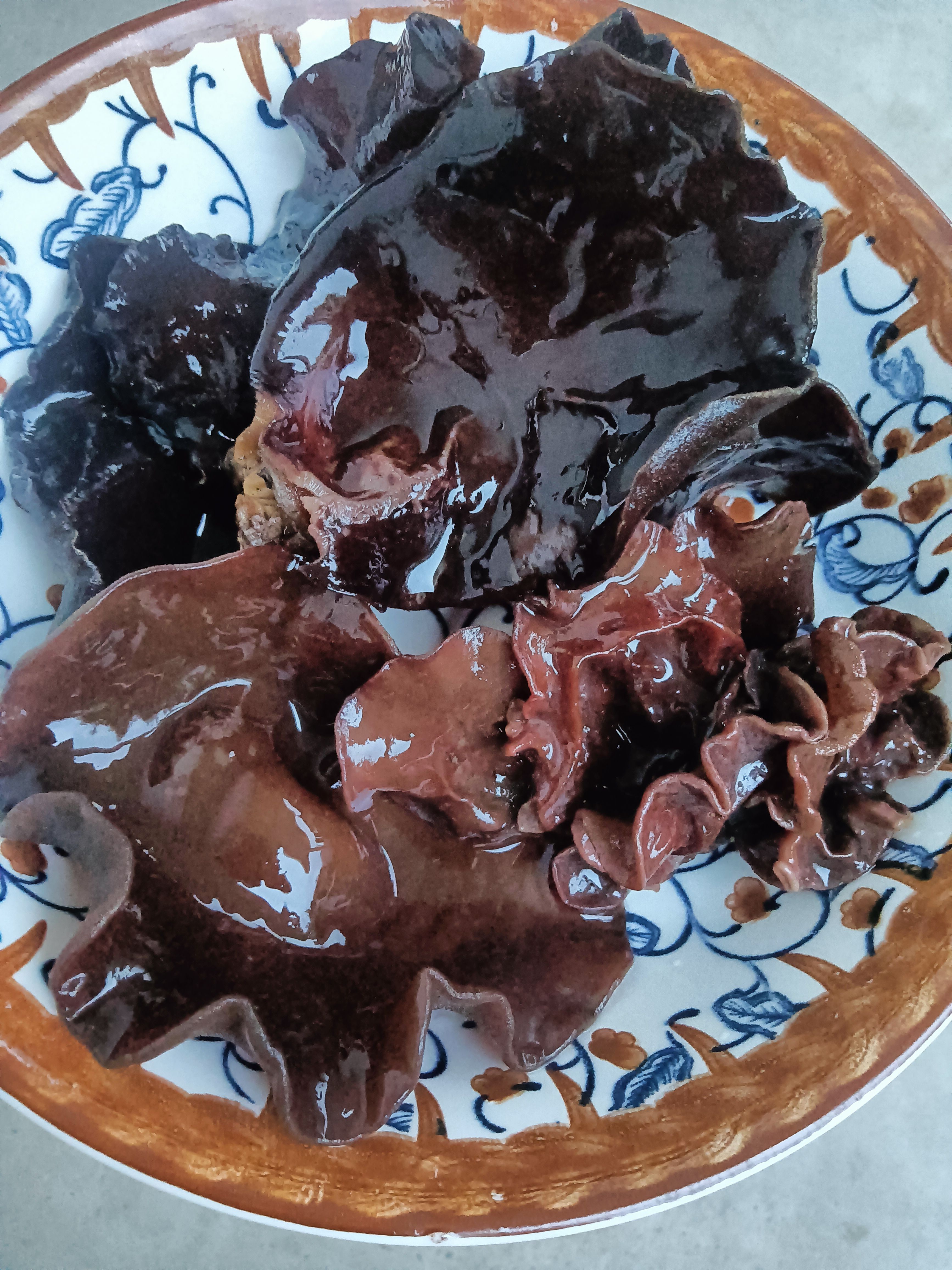 山木耳，产地直销一手货源，大森林野生山木耳炖肉煲汤烫火锅佳肴