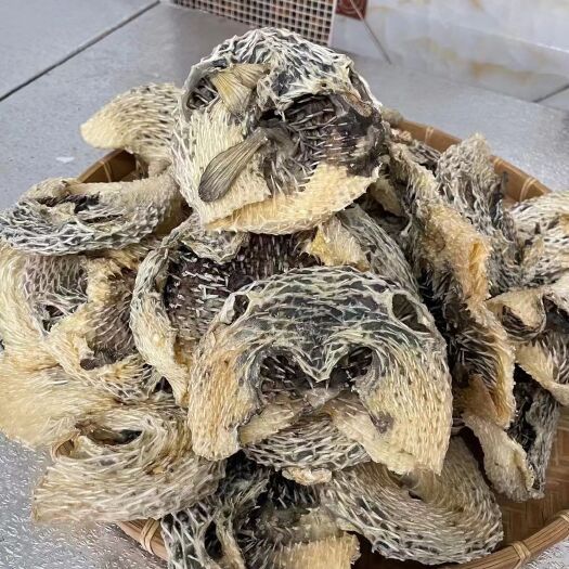 广州高品质刺龟鱼皮，营养价值高价格美丽