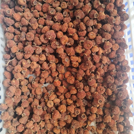 三都县贵州干刺梨 刺梨天然剂 量大从优常年供应 批发零