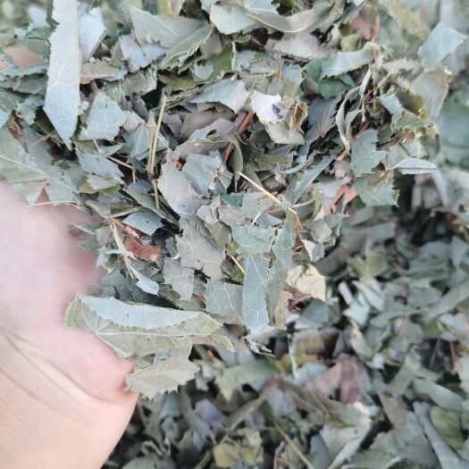 亳州淫羊藿，甘肃货，东北货大货直销，一手货源