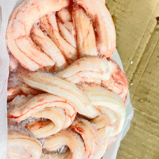 汕头新鲜骨髓