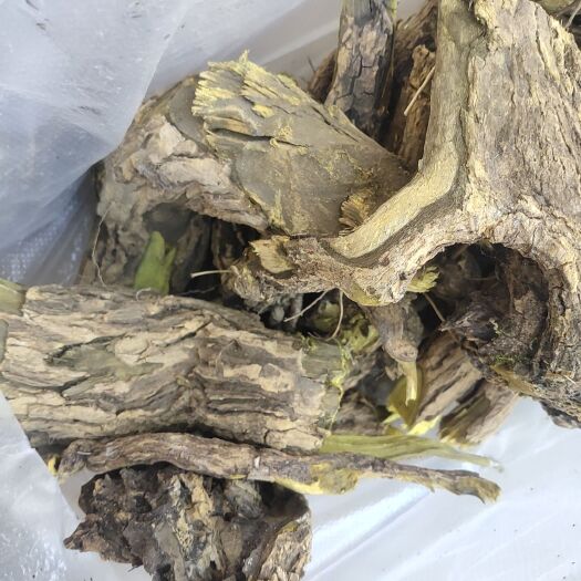楚雄市云南刺黄连干货