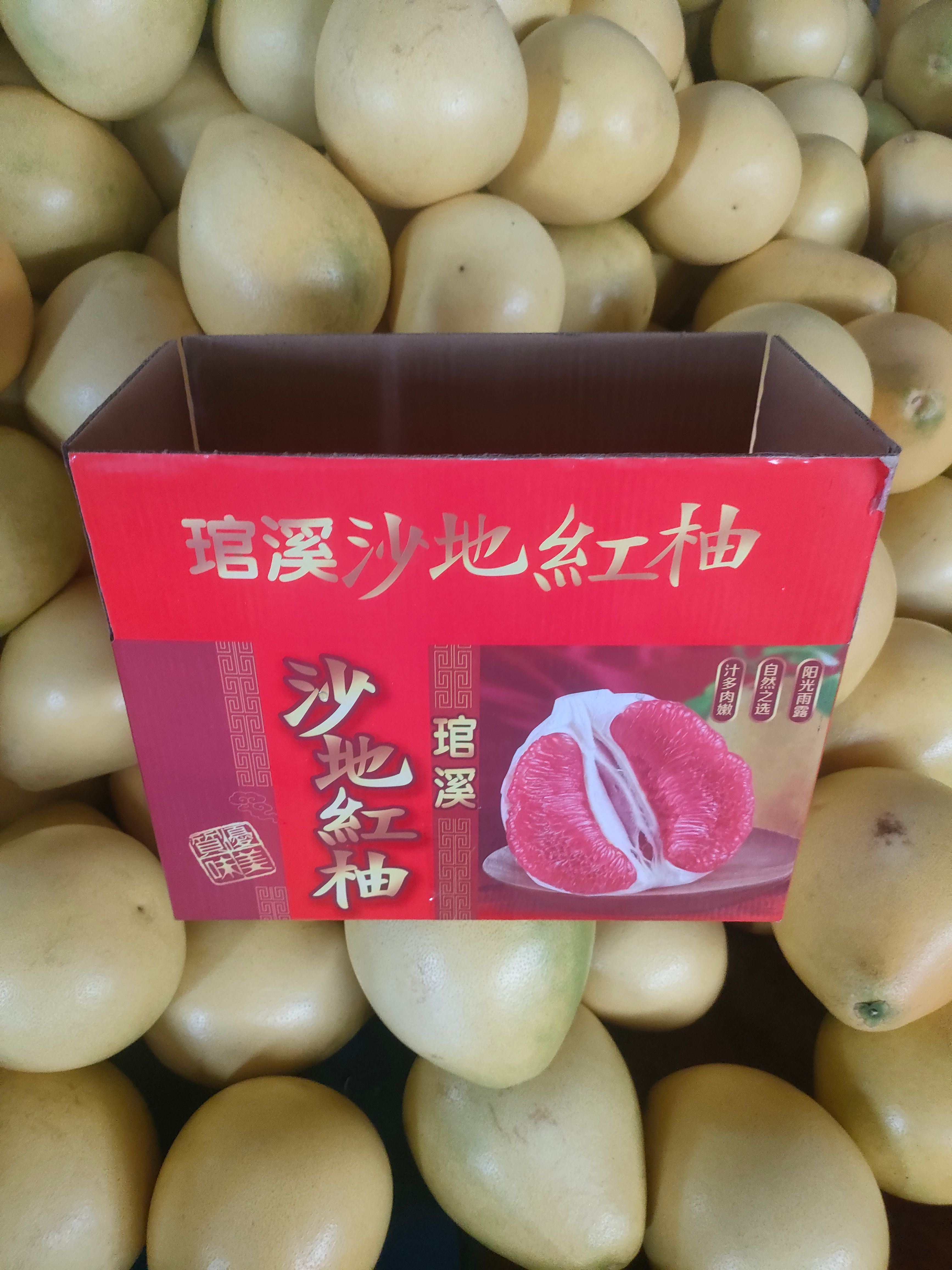 三红心蜜柚（电商果）2个 净重5斤 彩箱 代发包邮
