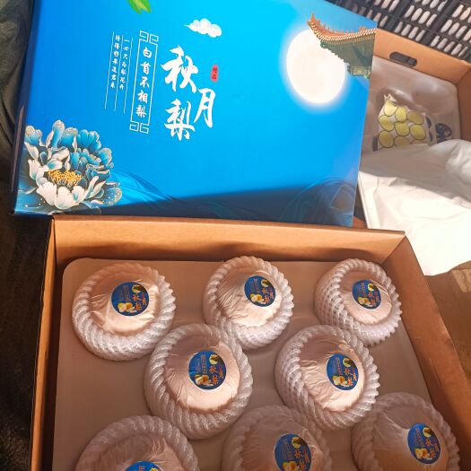 威县秋月梨