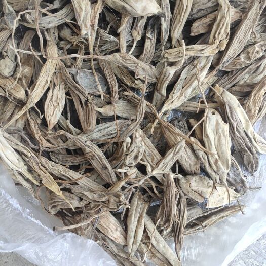 云南天木冬干货