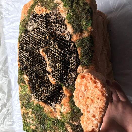 香格里拉石崖蜜