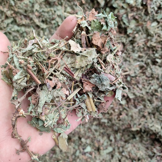 仙鹤草段子个子新货青基本青绿色