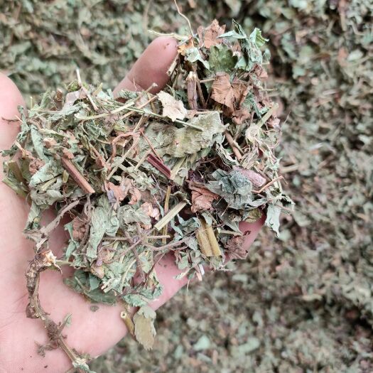 奉节仙鹤草段子个子新货青基本青绿色