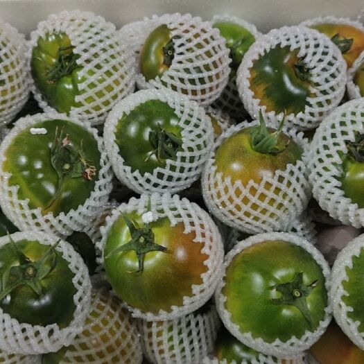 新民市精品草莓西红柿
