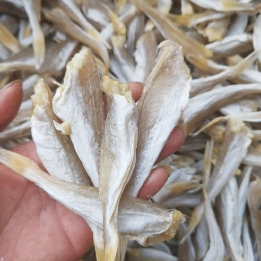 北海角条  红娘鱼干