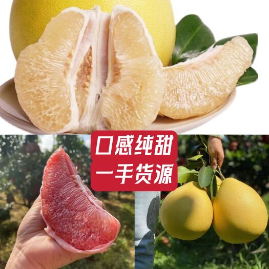 枝江市红心柚  个大皮薄.现採现发.水分足2斤以上.一手货源