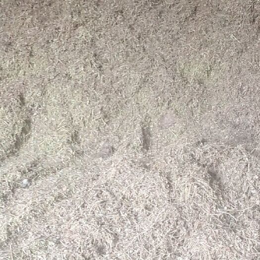 新野县花生秧毛草60吨求采购