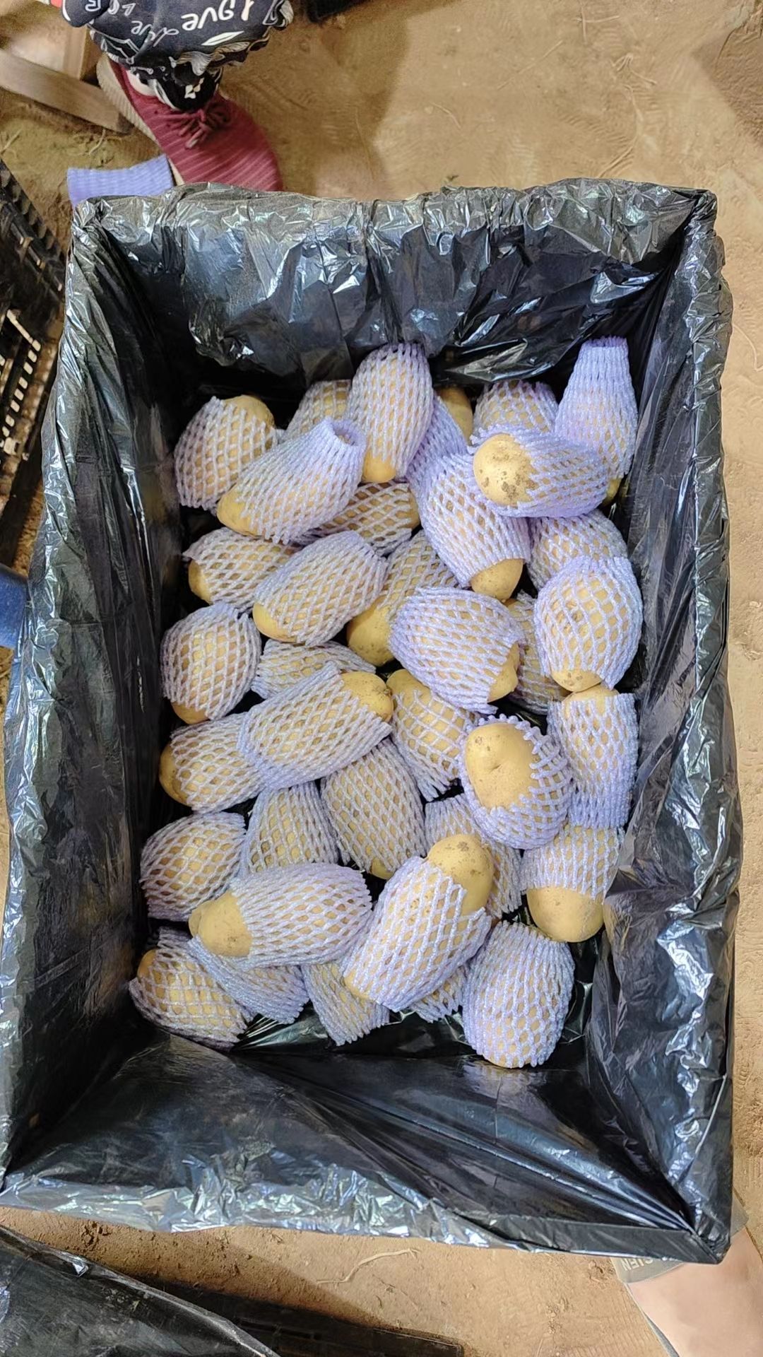 手工挑选精品超市货3-6    3-8    3-1斤