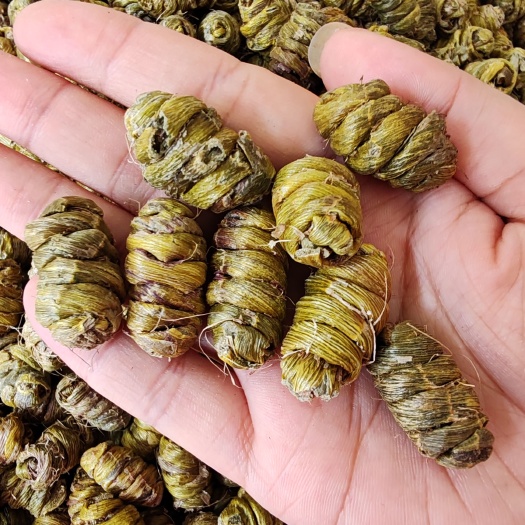 安国市.批发铁皮石斛粒500克包邮铁皮枫斗石斛片泡水煮汤石斛粉粒条